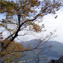 (주)오르다상사 네이버블로그