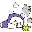 쌍용자동차 전문공업사 이미지