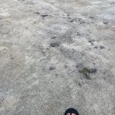희수네농장