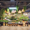 구로-구로-구로-2366 이미지