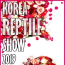 코리아 렙타일쇼(한국 파충류쇼)