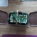 중현농장 이미지