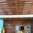 지바 | [LA-칸쿤 신혼여행] 하얏트 지바 칸쿤 - 더콰이즈 오션프론트룸 숙박 후기