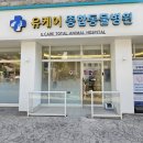 유케어종합동물병원 | 장승배기 동물병원 추천/유케어종합동물병원