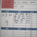 여수엑스포역구내식당 | 22일 ~ 28일 일상과 다이어트 식단 (다이어트 샌드위치 재료, 교촌치킨 블랙 시크릿 오리지널, 여수 여행)