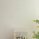 마음을담다;꽃