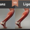 트레이닝 스타 이미지