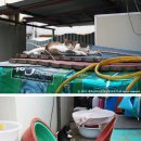 강촌공원 화장실 이미지