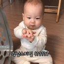 윤태하 카카오 검색결과