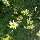 정원약국 이미지