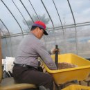 국화호수 이미지