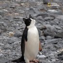 라뽀동물병원 이미지