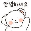 들려보개 펫살롱 네이버블로그