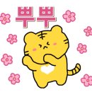 썬할인마트 이미지