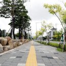 군청 이미지