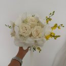 위드 핑(with ping) | [결혼준비#15] 볼라르스튜디오 촬영후기(with 비와 태풍 언저리)