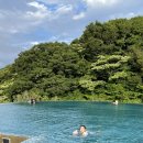 대신에코사이클 | [제주 에코랜드호텔] 제주5성급호텔 리뷰 발리 느낌 물씬나는 제주에코랜드호텔 내돈내산 솔직후기