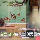 순창전통문화자수