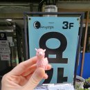 현대세탁열쇠 | [방이동 요가]이롭고 편안한 요가 원데이클래스 잠실요가 &#39;이안요가&#39;