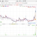 Hot Dog PC 이미지