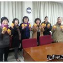 향기다육농원