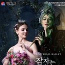 유니버설발레단 잠자는 숲속의 미녀 이미지