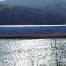 고래 태양광발전소 이미지