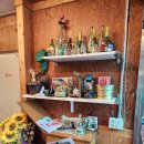 신경주대학교 | [경주/충효동] 신경주대학교 근처 현지인 맛집 달구지 수육국밥 (내 돈 내산)