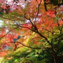 금강공원 이미지