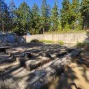 편백나무펜션2 이미지