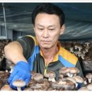 금상농장 이미지