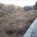 포항시북구22 네이버블로그