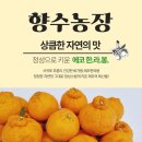 정해성농장 이미지