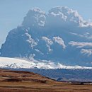 금순목장 이미지