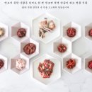 참맛있는젓갈 이미지