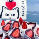 배고픈 모찌 이미지