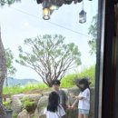 신나라찐빵