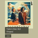 Jubel - Triple A (feat. NLE Choppa) [ 신나는팝송] 이미지