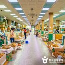 금산인삼 - 금산군 비단로 140 | 금산인삼