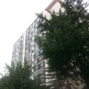 서초중앙로 200 (7) 이미지