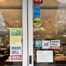 명지오션시티동물병원 | [부산/명지] 부산소금빵맛집으로 인정한 꿈꾸는요리사 오션점 방문 후기