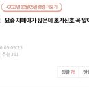 자폐 아이 초기 신호 꼭 알아봐주세요.pann 이미지