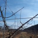 이칠농장 이미지