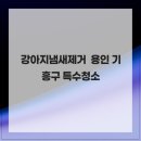 현대기흥서비스 이미지