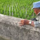 하전농장 이미지