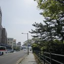 거진해녀횟집 | 제주 종주 2일차 | 서귀포~제주시내