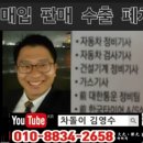 자동차마을정비 | 광양매화마을 구경하시고 광양중고차 올뉴카니발9인승 구입하셔요.