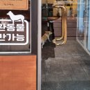 서영주유소 이미지