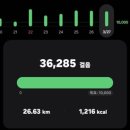 큰마을카센타 | [산티아고 순례길: 포르투갈 해안길 6일차] Caminha-São Pedro da Torre