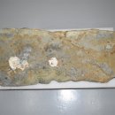 해로수중 이미지